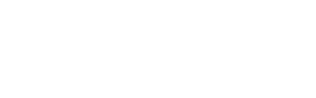 The Gray Man